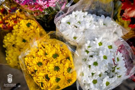 Imagen 107 Flores-13