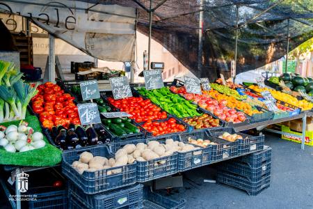 Imagen 002 Fruteria-1