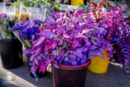 Imagen 107 Flores-14