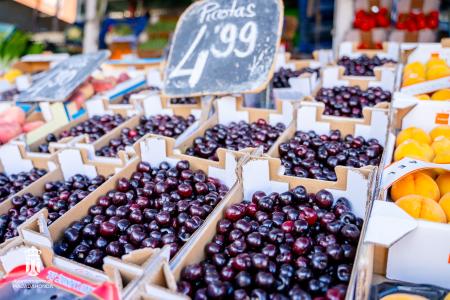 Imagen 098 Alimentacion-6