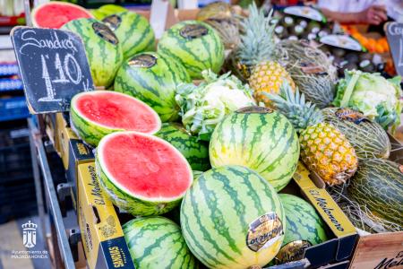 Imagen 098 Alimentacion-4