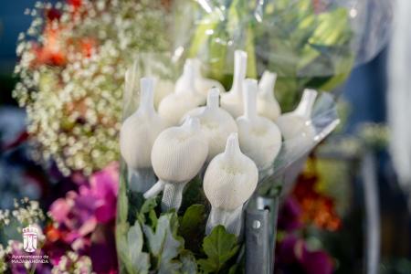 Imagen 107 Flores-15