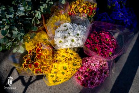 Imagen 107 Flores-18