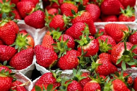 Imagen Muestra de Productores en Majadahonda