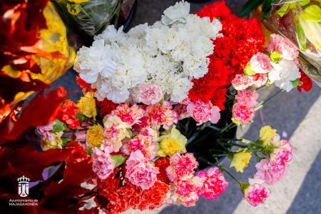 Imagen 107 Flores-17