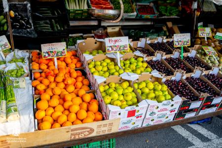 Imagen 020 Alimentacion-5