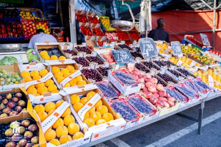 Imagen 098 Alimentacion-8