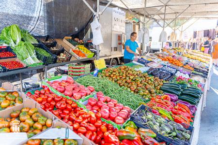 Imagen 116-118 Frutas-1