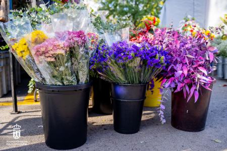 Imagen 107 Flores-12