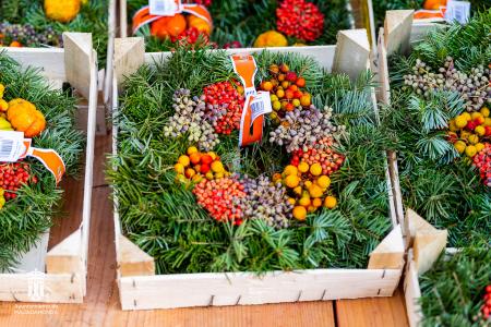 Imagen 005-006 Flores-11