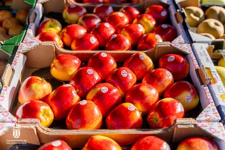 Imagen 116-118 Frutas-15