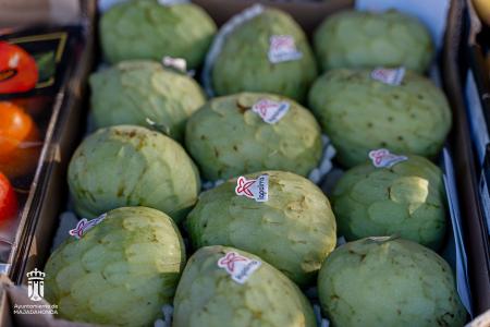 Imagen 116-118 Frutas-3