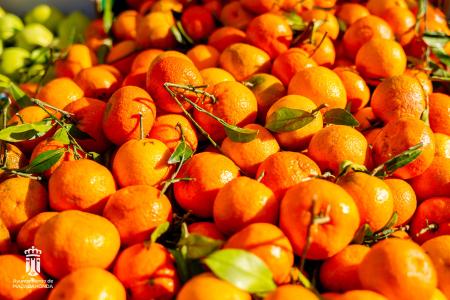 Imagen 116-118 Frutas-20