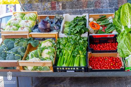 Imagen 116-118 Frutas-10