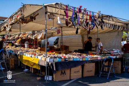 Imagen 143 Calzado-5