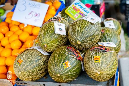 Imagen 020 Alimentacion-11