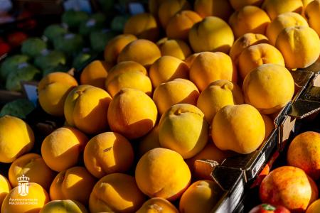 Imagen 116-118 Frutas-2