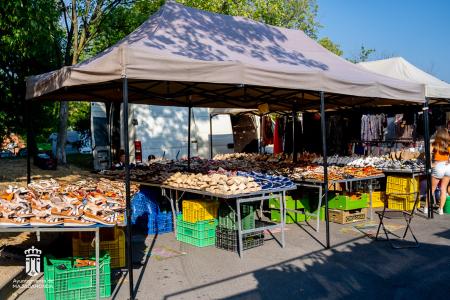 Imagen 106 Calzado-1