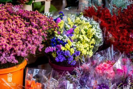 Imagen 005-006 Flores-16