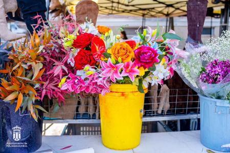 Imagen 107 Flores-10