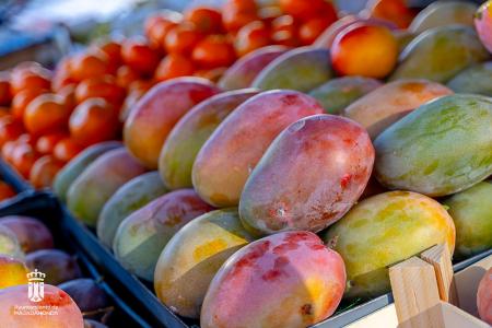 Imagen 116-118 Frutas-9