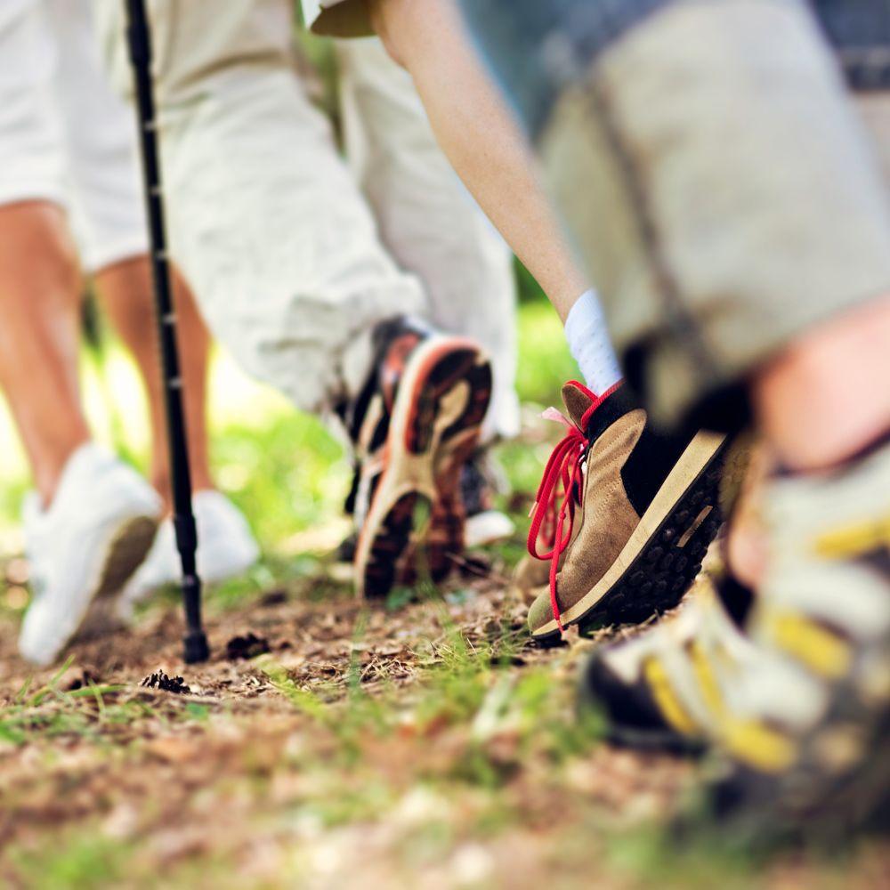 Imagen Majadahonda apuesta por el ejercicio físico y un estilo de vida saludable contra el sedentarismo y la soledad no deseada  