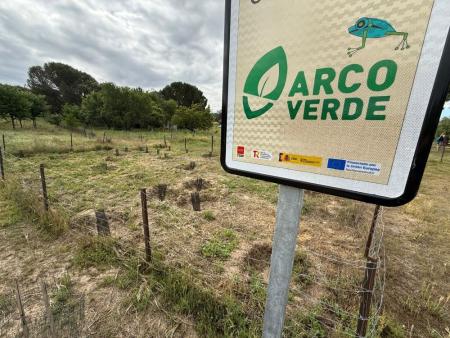 arco verde 8 web.jpg