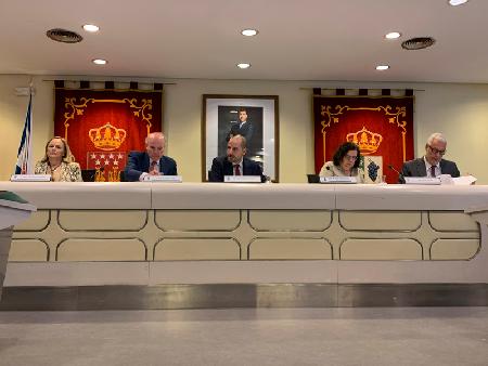 190725.- pleno web.jpg