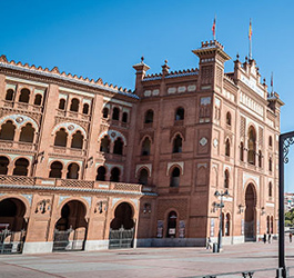 Imagen Recorridos por Madrid: Grupo avanzado