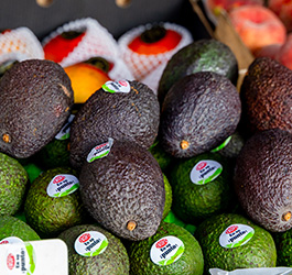 Imagen Alimentación