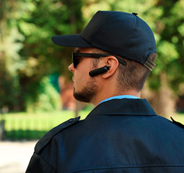 Imagen Seguridad y vigilancia