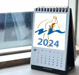 Imagen Patronato Monte del Pilar - Cuenta General 2024
